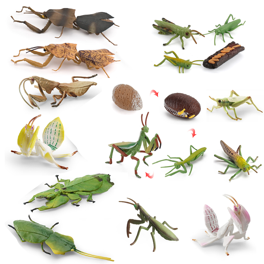 Home Improvement Kids - Figura Realista de Orquídea Mantis, Mantis