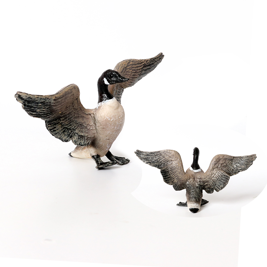 Simulación de granja aves de c - Home Improvement Kids reseña y precio