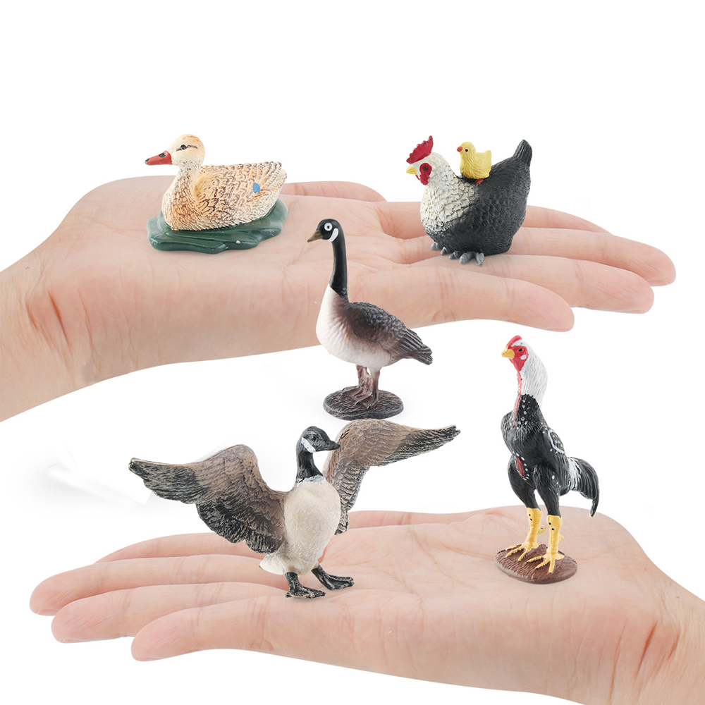 Simulación de granja aves de c - Home Improvement Kids reseña y precio